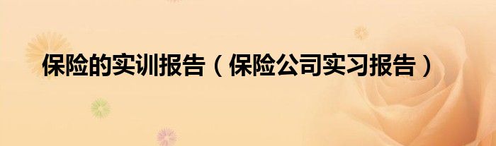 PG电子官方网站保险的实训报告（保险公司实习报告）(图1)